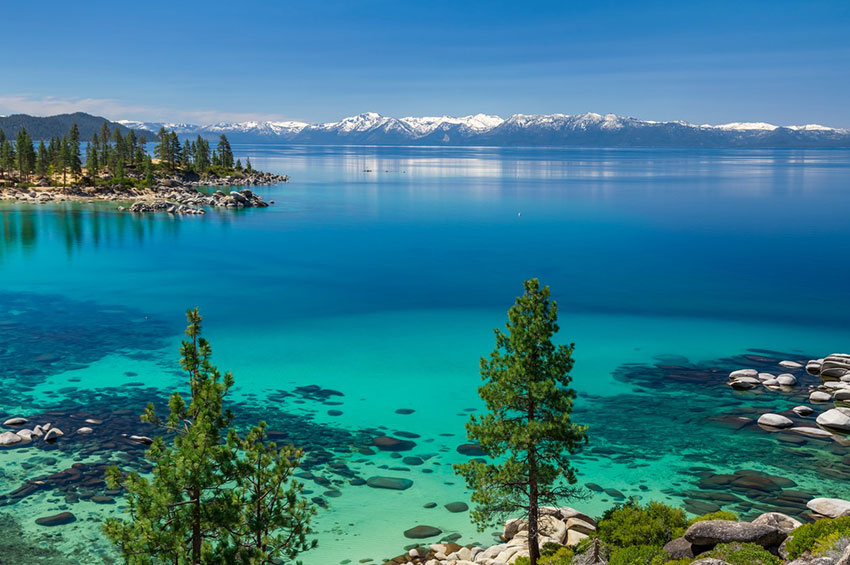 lake-tahoe-private-investigator Gray Wolf Tracking
